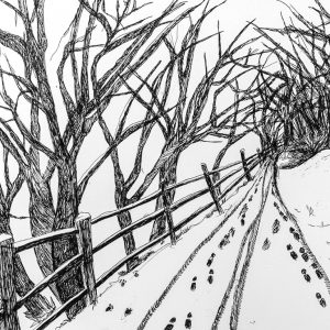 Winter Walk by Andrea Palmer