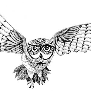 Gliding Owl