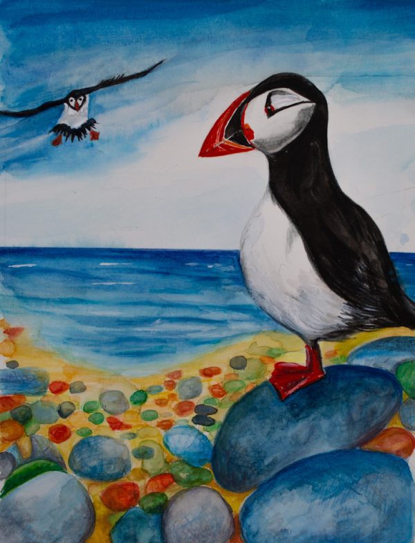 Watercolour and pencil mixed media painting of Puffins