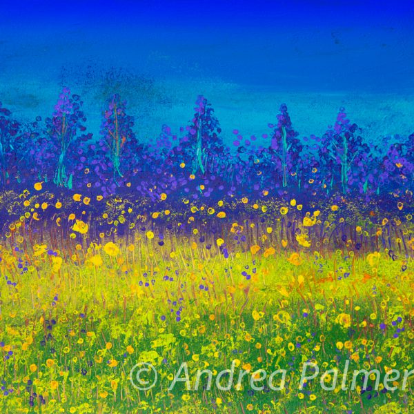 wild flower meadow