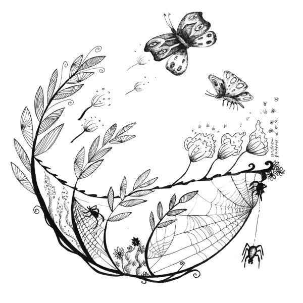 Ink drawing of butterflies and circular flora